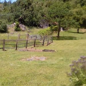 Meet your Posher, Beverly